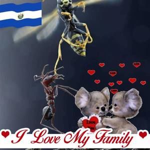 Meet your Posher, Salomón